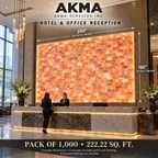 Himalayan Pink Salt Bricks – Pack of 1,000 | 8 × 4 × 2 Inches