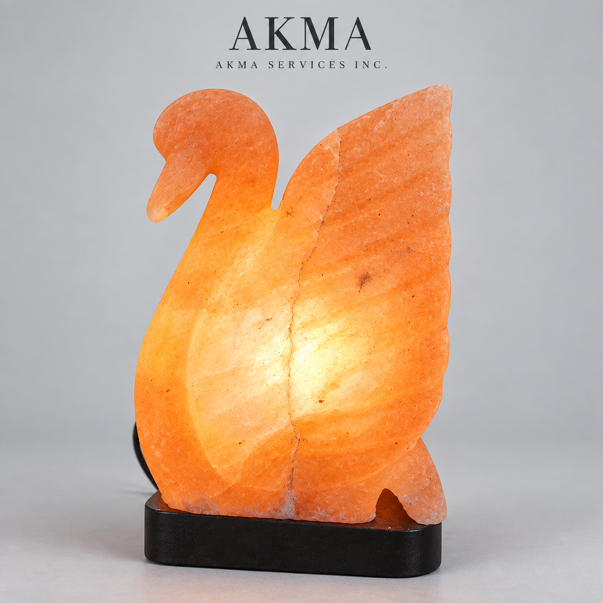 AKMA Swan Shape Pink Salt Lamp